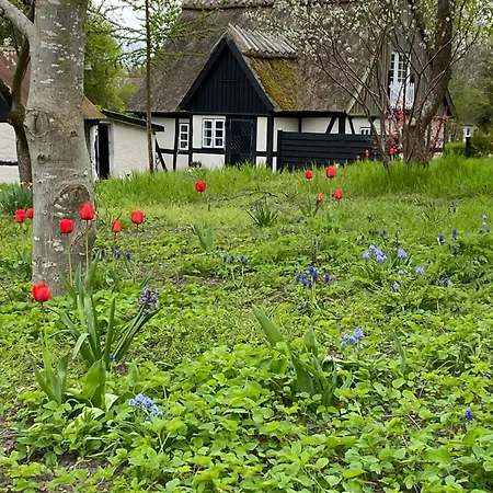 Sofie's Hus - Munkgaard Villa *